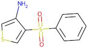 4-(phenylsulphonyl)thiophen-3-amine