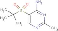 5-(tert-butylsulphonyl)-2-methylpyrimidin-4-amine