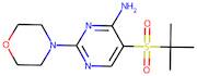 5-(tert-butylsulphonyl)-2-morpholinopyrimidin-4-amine