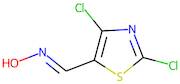 2,4-Dichloro-1,3-thiazole-5-carboxaldehyde oxime