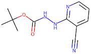 2-Hydrazinonicotinonitrile, N-BOC protected