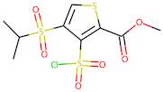 methyl 3-(chlorosulphonyl)-4-(isopropylsulphonyl)-2-thiophenecarboxylate