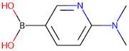 2-(Dimethylamino)pyridine-5-boronic acid