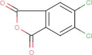 5,6-dichloro-1,3-dihydroisobenzofuran-1,3-dione
