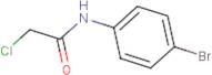 N1-(4-bromophenyl)-2-chloroacetamide