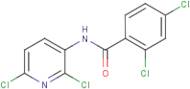 N1-(2,6-dichloro-3-pyridyl)-2,4-dichlorobenzamide