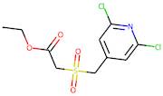 Ethyl 2-{[(2,6-dichloro-4-pyridyl)methyl]sulphonyl}acetate