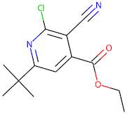 ethyl 6-(tert-butyl)-2-chloro-3-cyanoisonicotinate