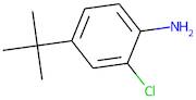 4-tert-Butyl-2-chloroaniline