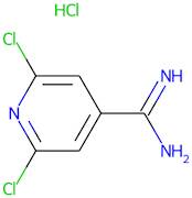 2,6-dichloropyridine-4-carboximidamide hydrochloride