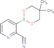 2-Cyanopyridine-3-boronic acid, neopentyl glycol ester