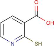 2-Thionicotinic acid
