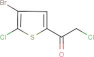 1-(4-bromo-5-chloro-2-thienyl)-2-chloroethan-1-one