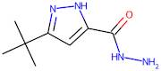 3-(tert-Butyl)-1H-pyrazole-5-carbohydrazide