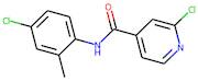 N4-(4-chloro-2-methylphenyl)-2-chloroisonicotinamide