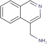 (Isoquinolin-4-yl)methanamine