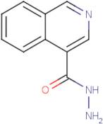 Isoquinoline-4-carbohydrazide
