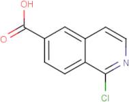 1-Chloroisoquinoline-6-carboxylic acid