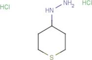 1-(Tetrahydro-2h-thiopyran-4-yl)hydrazine dihydrochloride