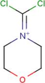 4-(Dichloromethylene)morpholin-4-ium