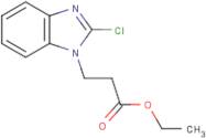 Ethyl 3-(2-chlorobenzimidazol-1-yl)propanoate