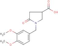 1-(3,4-Dimethoxybenzyl)pyrrolidin-5-one-3-carboxylic acid