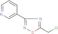 5-(Chloromethyl)-3-(pyridin-3-yl)-1,2,4-oxadiazole