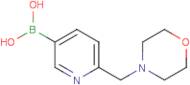 6-(4-Morpholinylmethyl)-3-pyridinyl boronic acid