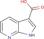 7-Azaindole-3-carboxylic acid