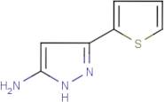 5-Amino-3-(thien-2-yl)-1H-pyrazole