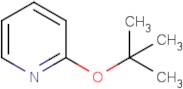 2-(tert-Butoxy)pyridine