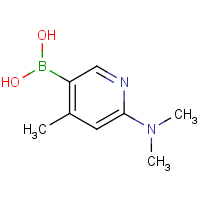 (6-(Dimethylamino)-4-methylpyridin-3-yl)boronic acid