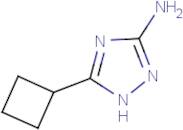 5-Cyclobutyl-1H-1,2,4-triazol-3-amine