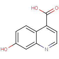 7-Hydroxyquinoline-4-carboxylic acid