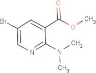 Methyl 5-bromo-2-(dimethylamino)nicotinate