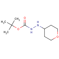 N'-(Oxan-4-yl)(tert-butoxy)carbohydrazide