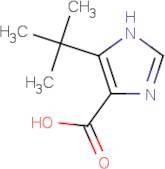 5-tert-Butyl-1H-imidazole-4-carboxylic acid