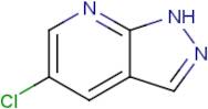 5-Chloro-1H-pyrazolo[3,4-b]pyridine