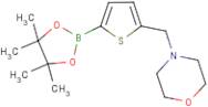 4-{[5-(Tetramethyl-1,3,2-dioxaborolan-2-yl)thiophen-2-yl]methyl}morpholine