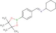 4-(Cyclohexyl)iminomethyl phenyl boronic acid pinacol ester