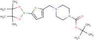 5-((4-Boc-piperazine)methyl) -2-thiopheneboronic acid pinacol ester