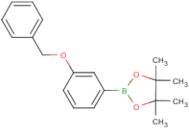 2-[3-(Benzyloxy)phenyl]-4,4,5,5-tetramethyl-1,3,2-dioxaborolane