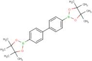 4,4,5,5-Tetramethyl-2-{4-[4-(tetramethyl-1,3,2-dioxaborolan-2-yl)phenyl]phenyl}-1,3,2-dioxaborolane