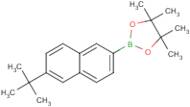 6-(tert-Butyl)naphthalene-2-boronic acid, pinacol ester