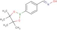 4-(4,4,5,5-Tetramethyl-1,3,2-dioxaborolan-2-yl)benzaldehyde oxime