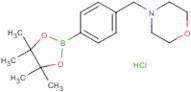4-((Morpholino)methyl)phenylboronic acid pinacol ester hydrochloride