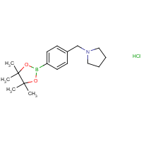 1-{[4-(Tetramethyl-1,3,2-dioxaborolan-2-yl)phenyl]methyl}pyrrolidine hydrochloride