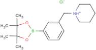 1-{[3-(Tetramethyl-1,3,2-dioxaborolan-2-yl)phenyl]methyl}piperidin-1-ium chloride