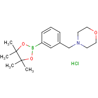 3-[(Morpholin-4-yl)methyl]benzeneboronic acid, pinacol ester hydrochloride