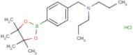 4-((Di-n-propylamino)methyl)phenyl boronic acid pinacol ester hydrochloride